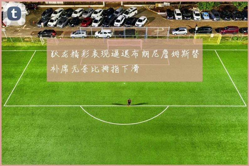 狄龙精彩表现逼退布朗尼詹姆斯替补席无奈比拇指下滑
