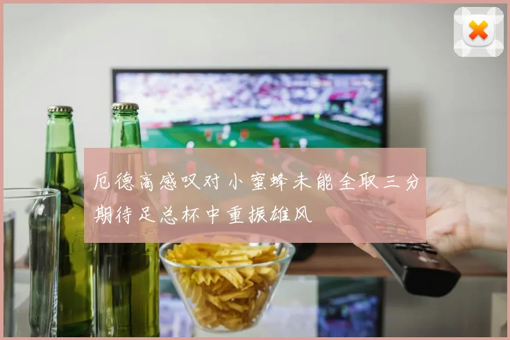 厄德高感叹对小蜜蜂未能全取三分期待足总杯中重振雄风